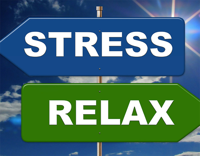 Stress : C’est à VOUS De Réagir !